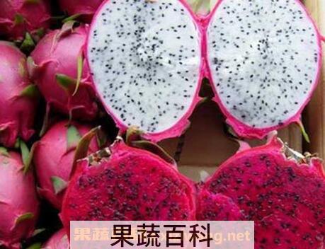 如何吃火龙果减肥 火龙果减肥方法技巧