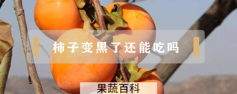 柿子变黑了还能吃吗