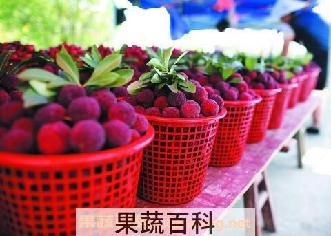 做月子能不能吃杨梅 做月子怎么吃杨梅