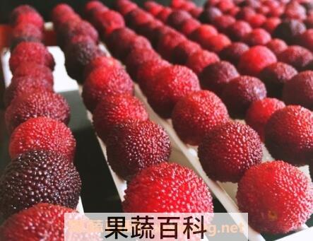 做月子能不能吃杨梅 做月子怎么吃杨梅