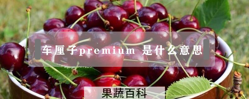车厘子premium 是什么意思