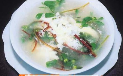 鱼腥草粥的功效与禁忌 鱼腥草粥的功效与作用