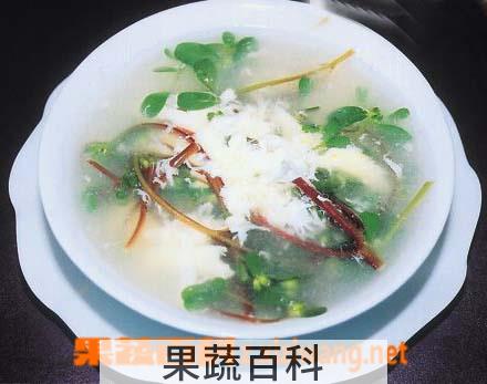 果蔬百科鱼腥草粥的功效