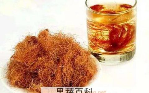 玉米须的功效与作用、禁忌和食用方法 玉米须的功效和作用是什么?
