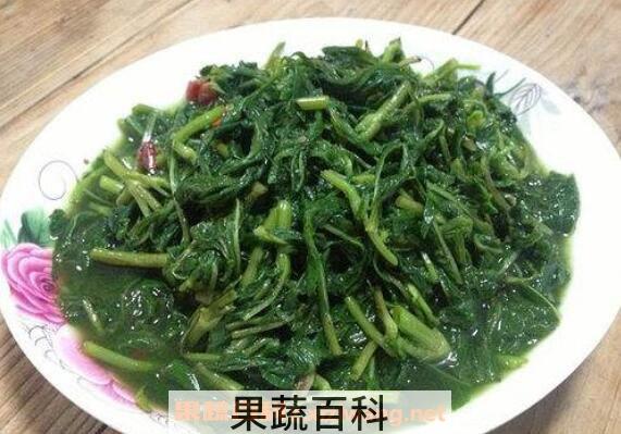 苦斋菜的功效与作用