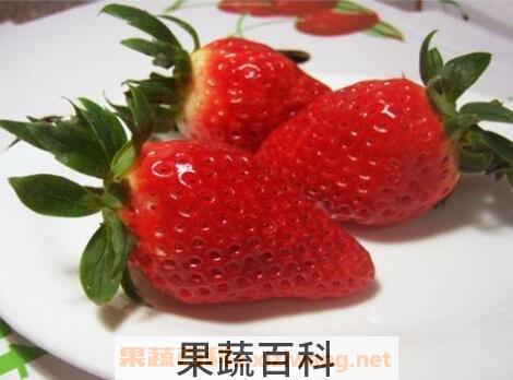 章姬和红颜草莓的区别 草莓的常见品种