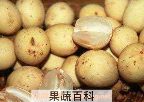 龙宫果的药用价值