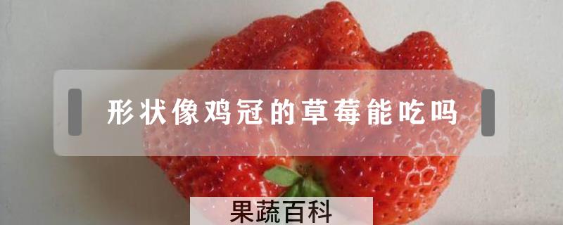 形状像鸡冠的草莓能吃吗