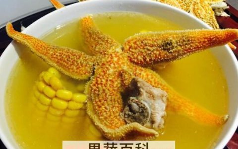 海星煲汤有什么好处 海星煲汤做法与功效与作用