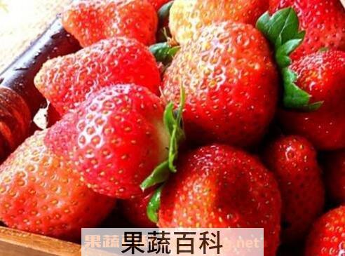 牛奶草莓是转基因吗 牛奶草莓的种植方法