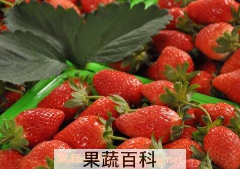 草莓怎么催熟 草莓催熟的最快方法
