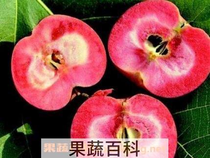 红肉苹果好吃吗 红肉苹果怎么吃