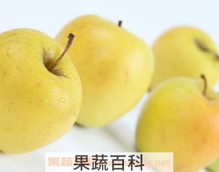 黄苹果的功效与作用