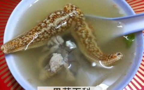 海星煲汤的做法大全 海星煲汤有什么作用