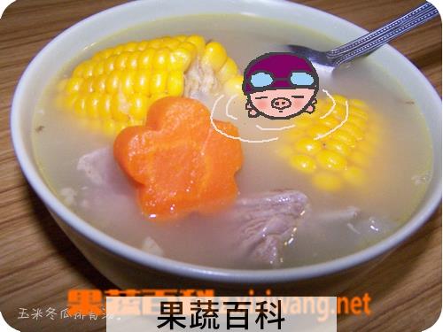 果蔬百科玉米冬瓜青皮粥