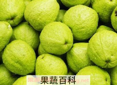 蕃石榴不能和什么一起吃 蕃石榴和什么相克