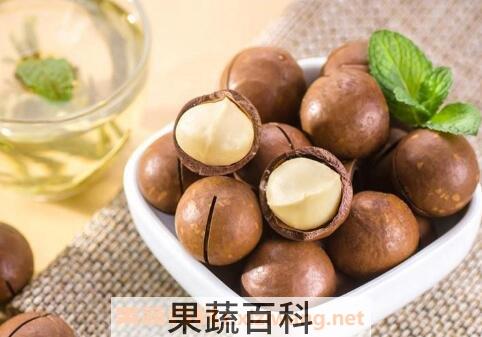 夏威夷果的药用价值