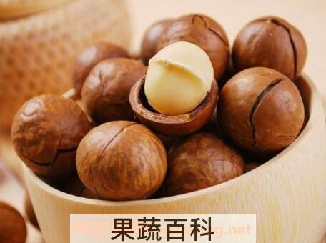夏威夷果的药用价值