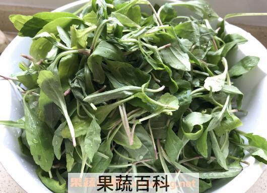 马兰头如何做好吃 马兰头的做法窍门