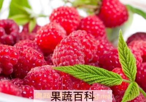 红树莓如何清洗 红树莓如何吃
