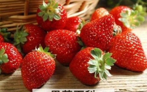 草莓怎么洗才干净 清洗草莓的正确方法图片 草莓怎么洗才干净 清洗草莓的正确方法视频
