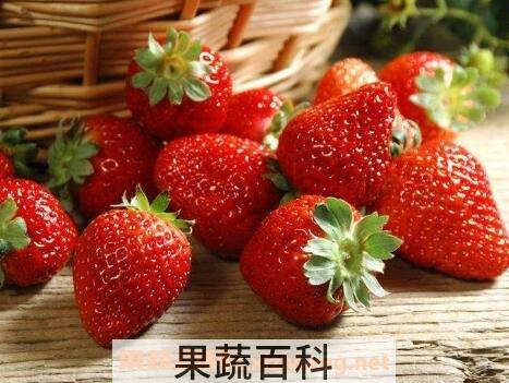 草莓怎么洗才干净 洗草莓的正确方法