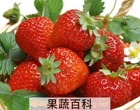 草莓怎么洗才干净 洗草莓的正确方法