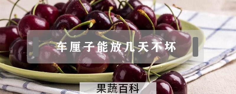 车厘子能放几天不坏