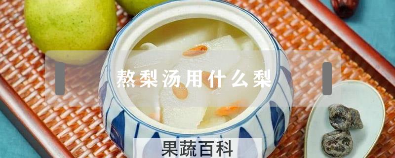 熬梨汤用什么梨