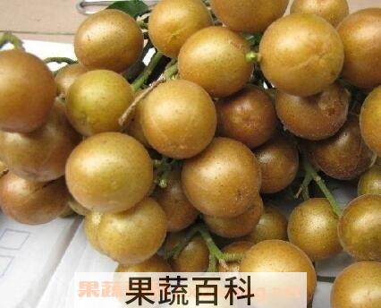 黄皮果的药用价值