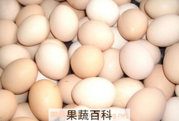 鸡蛋如何清洗 鸡蛋水洗了怎么补救