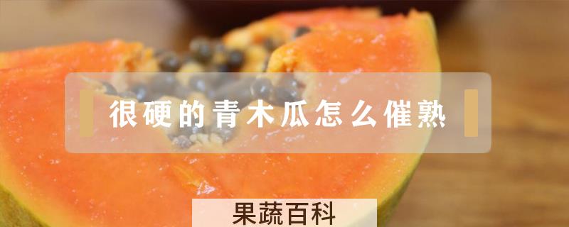 很硬的青木瓜怎么催熟