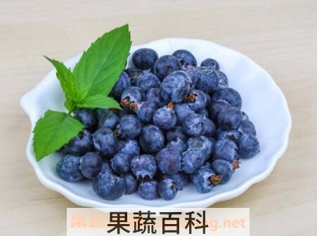 蓝莓怎么洗 蓝莓的正确清洗方法