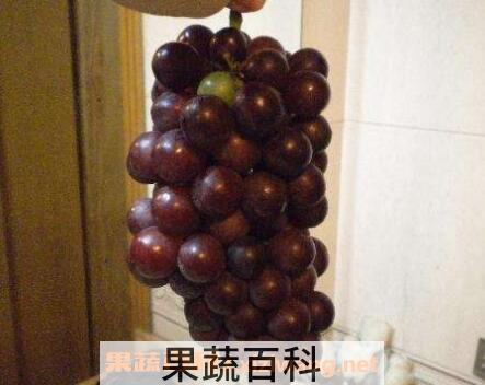  催熟的葡萄是什么样子的 催熟葡萄的危害