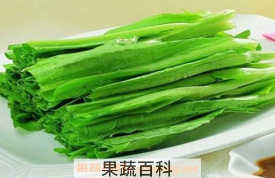 油麦菜怎么做好吃 油麦菜的做法教程