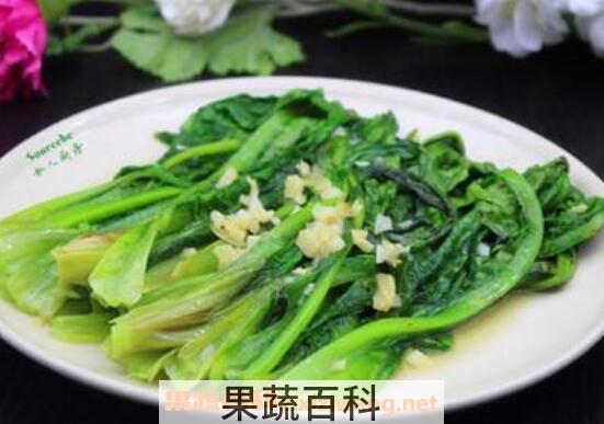 油麦菜怎么做好吃 油麦菜的做法教程