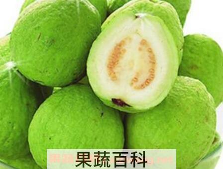 番石榴籽的的功效与作用