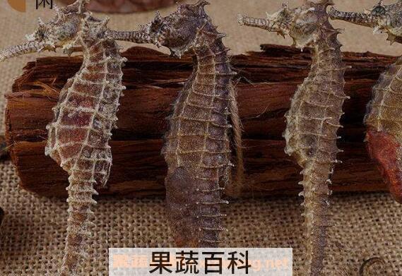 海马泡酒有什么功效