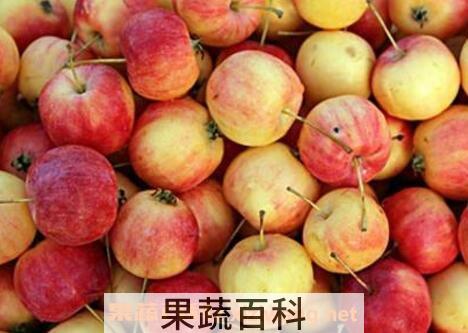 香槟果的药用价值
