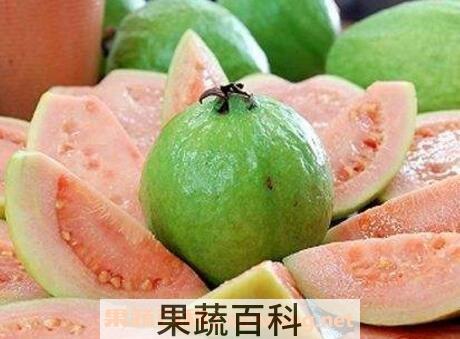 番石榴有什么营养价值