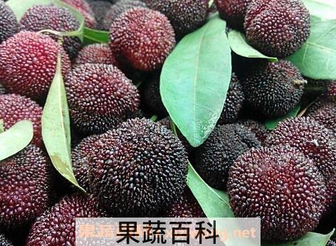 杨梅怎么洗干净 杨梅的常见吃法