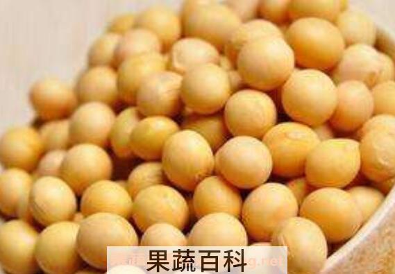 黄大豆的功效与作用