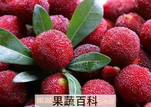 杨梅怎么洗干净 杨梅的常见吃法