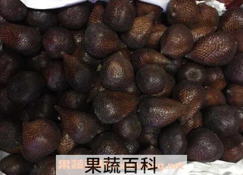 蛇皮果的药用价值