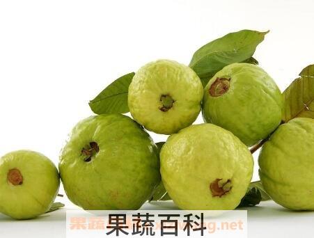 番石榴怎么吃 番石榴的常见吃法