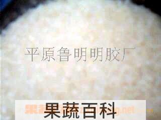 果蔬百科黄明胶粥