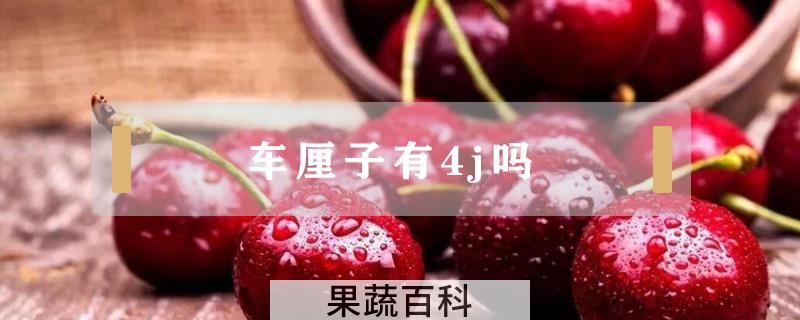 车厘子有4j吗