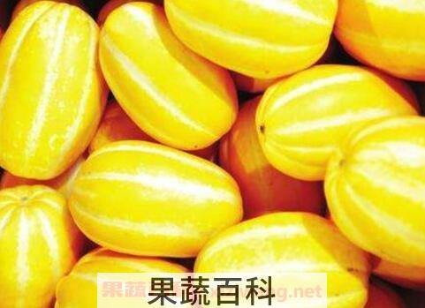 金密瓜的功效与作用
