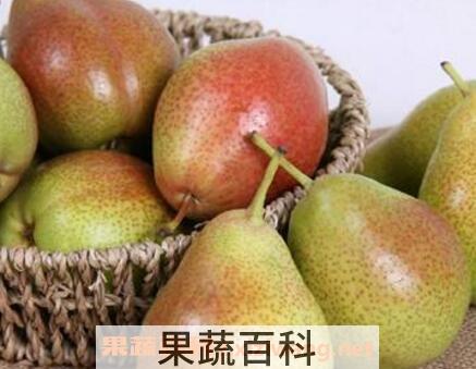 啤梨的药用价值