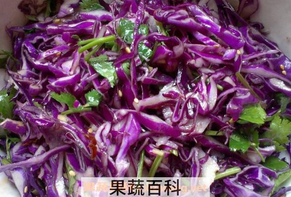 紫甘蓝怎么做好吃 紫甘蓝的经典做法